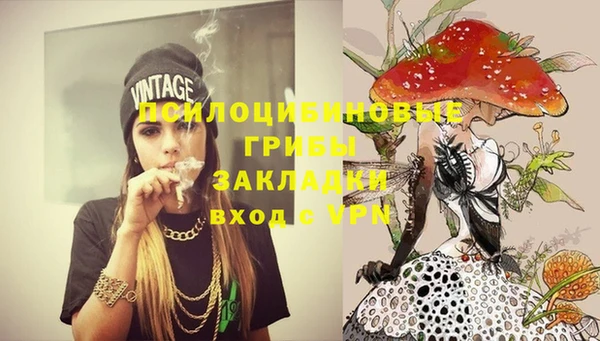 мескалин Богородск