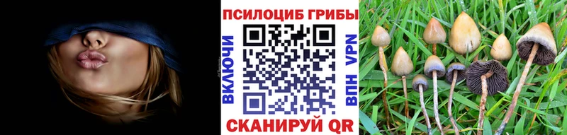 продажа наркотиков Гремячинск Псилоцибиновые грибы GOLDEN TEACHER